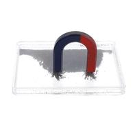 Yardenfun Scatola di Polvere di Ferro e Disegno Linee di Campo per Esperimenti Scientifici con Simulazione Campo Magnetico per Laboratorio di Fisica e Studenti