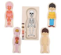 Yardwe 1 Set Puzzle Del Corpo Umano Per Enigmistica Per Prop Di Insegnamento Infantile Puzzle Sugli Organi Del Corpo Umano Giocattoli Per Di Legno