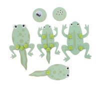 Yardwe 1Set Kit Della Esperimenti Didattici per Sul Ciclo Dei Materiale DIY per Apprendimento Prescolare