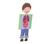 Yardwe 2 Set giocattolo educativo per kit artigianale fai da te fai da te di organo umano giocattoli artigianali fai da te giocattoli per fai da te Carta