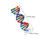 Yardwe 4 Dna Doppia Kit Educativo Biologico per Studenti con Supporto Espositivo Struttura Molecolare Genetica per Apprendimento Scientifico