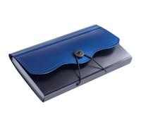 Yardwe Cartella Portadocumenti a Fisarmonica in Pp Trasparente 13 Scomparti, Organizer per Ricevute e Fatture, Custodia Porta Documenti per Ufficio e Studio, Formato B5, Colore Blu