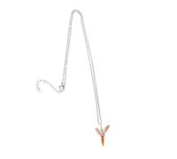 Yardwe Dente Di Squalo Fossile Collana Pendente in Metallo Catena Accessorio Da Uomo Da Donna Per Collezione Di Minerali e Fossili
