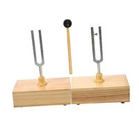 Yardwe Diapason in Metallo e Legno Con Martello Per Esperimenti Acustici Fisici Strumento Sperimentale Per Test Vibrazione e Musica Del Diapason