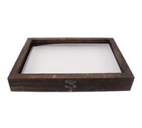 Yardwe Scatola per Campioni Insetti Coperchio Trasparente e Serratura in Metallo Custodia Leggera e Portatile per Farfalle e Collezioni 12.2X8.7X1.6 Pollici Stili multipli