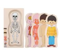 YARNOW 1 Set Puzzle Della Struttura Del Corpo Umano Multistrato Enigmistica Per Giocattoli Puzzle in Legno Del Corpo Umano Giocattolo Di Educazione Precoce Di Legno