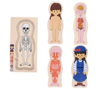 YARNOW 1 Set Puzzle della struttura del corpo umano multistrato enigmistica per puzzle per Giocattolo puzzle del corpo umano giocattoli di anatomia per Di legno