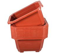 YARNOW 10 Pezzi Di Vasi Da Fiori Ispessiti Grandi Per Bonsai Da Vasi Da Piantagione in Plastica Contenitori Per Bonsai Alberi Da Frutto