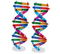 YARNOW 2 Dna Doppia Strumento Didattico per Scuole e Laboratori Autocostruzione per Insegnamento e Collezionismo