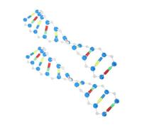YARNOW 2 Pezzi Componenti del di di cellula animale kit molecolare modelli biologici kit di modelli molecolari Kit motore del plastica