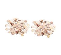 YARNOW 2pezzi Decorative Handicraft Shells for Fish Tanks Natural DIY Ornaments of Clam Shells Safe for Home Decor And Craft Projects