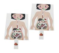 YARNOW 2sets Diy Kit Educativo Per Del Digestivo Interattivo Per Apprendimento Anatomia e Sperimentazione Pratica