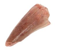 YARNOW Di Denti Canglong Denti Pietra Marrone Chiaro