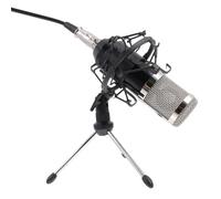 YARNOW Microfono Condensatore Per Ktv e Trasmissione in Diretta Set Di Microfoni Testina Rete in Galvanizzazione Corpo Tubo Tecnologia Di Spruzzatura Ad Alta Temperatura Suono Corposo e p