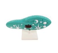 YARNOW Paramecio con Supporto Resistente Microbiologia e Biologia Cellulare per Esperimenti Scolastici e Laboratori Didattici