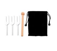 YARNOW Set di Diapason in Lega di Alluminio Argento con Martelletto e Borsa, 5 Pezzi per Esperimenti di Fisica e Terapia dei Chakra con Suono Chiaro