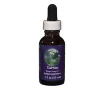 Yarrow Dropper 1 Oz Di Flower Essence Services