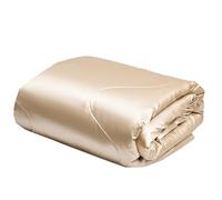 YASMENG Copriletto estivo in raso, 200 x 200 cm, 200 x 200 cm, 200 g/mq, in seta, leggero, morbido, liscio, lucido, deluxe satinato, per l'estate con 2 federe da 80 x 80 cm