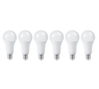 YASTA 6 Pezzi Lampadina Led 22W Luce Fredda E27 A65L Bulbo Bianco Opaco