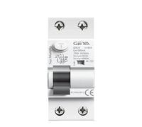 YATINGZHANG Salvavita Riarmo Automatico Interruttore differenziale elettromagnetico Tipo AC AC 2 Poli 25A 40A 63A 100A 30mA 100mA 300mA Differenziale Riarmo Automatico(2P 25A,100mA)