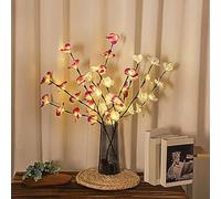 YATOSEEN Rami Luminosi, 20X2 LED Illuminati Fiori di Orchidea Artificiale Fata Luci, Ramo Luminoso da Interno per Tavolo Feste Soggiorno Camera da Letto Decorazione (2 Confezioni, Viola+Bianco)