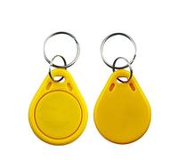 YAVIS prossimità di chip RFID da 13,56 MHz con transponder portachiavi NFC Token Tags 1k chip, anello portachiavi per controllo accessi keyfob Key Card - giallo (confezione da 100)
