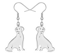 YAYAKO Acciaio Inossidabile Cute Labrador Cane Orecchini Pendenti Gioielli Dainty Orecchini per Ragazza Donna Animali Domestici Cane Amatori Regali (Argento Placcato)