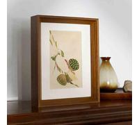 YBAAKZIIR Cornici per Collage, Double Sided Transparent Wooden Photo Frame for Specimens Display Multicolor Multiple Sizes(Dark Walnut 2,A4)