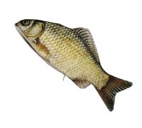 YBNKKUXKN Astuccio for matite a forma di carpa crucian simulata, astuccio for matite creativo e originale a forma di pesce salato, astuccio for cancelleria, articoli for il ritorno a scuola