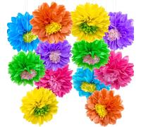 YBwanli 12 pezzi di carta fiori giganti per allestimenti,festa hawaiana,festoni compleanno,decorazioni festa,arcobaleno party,Un arredamento entusiasta ti farà guadagnare molta dopamina
