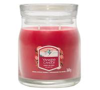 YC SIG M JAR SANTA ON SKIS