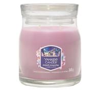 YC SIG M JAR SUMMIT STARGAZING