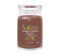 Yankee Candle Candela profumata Praline & Birch 567 g variante Praline & Birch