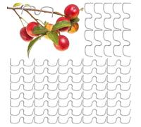 ycezw Divaricatori Rami Alberi da Frutto,Attrezzi Agricoli per Piegare e Legare | Divaricatore per Rami di Alberi da frutto - per Giardino Frutteto Agricoltura Pianta Fioritura