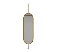 YCOVSFP Specchio sospeso Ovale, Specchio cosmetico da Bagno con Asta for Appendere, Specchio sospeso Decorativo con Struttura in Metallo, Asta in Metallo Personalizzabile.(Gold,40x90cm)