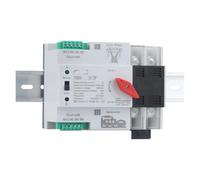 YCQ4-100R 2P/4P rail ATS interruttore di trasferimento automatico a doppia alimentazione 63A/100A AC230V dispositivo di commutazione di alimentazione elettrica(2P,100A)
