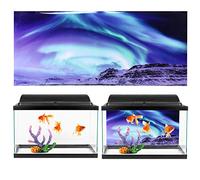 Yctze Compra Adesivo per Sfondo Acquario Poster di Pesci Adesivo in PVC Paesaggio Acquario Sfondo di Pesci Decorazione Rovine della città Sottomarina (61 * 30CM)