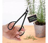 Yctze Forbici Bonsai in Acciaio Inossidabile da 190 Mm - Taglio di Precisione per la Potatura Ramificata e Radicale, Impugnatura Ergonomica per gli Amanti della Potatura