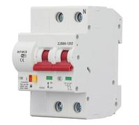 Yctze Interruttore Automatico con Telecomando App WiFi per 2P 100A 110V - Prestazioni Migliorate e Installazione Semplice (220V)