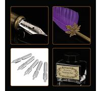 Yctze Lussuoso Set di Penne d'oca Vintage retrò Europeismo con 6 Pennini in Metallo e Inchiostro da 15 Ml, Elegante Penna per Scrivere Calligrafia da Regalare o Utilizzare - Splendidamente