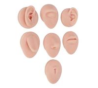 Yctze Modello Anatomico in Silicone per Display Didattico (Colore della | Design realistico, composto orecchio, naso, occhio, bocca, materiale in morbido silicone, supporto acrilico incluso