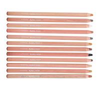 Yctze Pastelli Pastello, Set per Schizzi Artistici e Design | Toner di alta qualità, funzione anti-cracking, sicuro per i bambini, facile da usare, applicazioni versatili