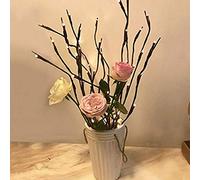 Yctze Ramo Luminoso a LED, Rami Artificiali Alimentati a Batteria, Luce Decorativa Dal Design Pieghevole, Ideale per Decorazioni per la Casa, Matrimoni, Eventi Natalizi, Showroom e Gallerie (Colore