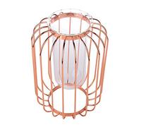 Yctze Vaso in Ferro Battuto a Forma di Lanterna Nordica con Inserto in Vetro - Elegante Supporto per Fiori da Tavolo per Decorazione per la Casa e del Matrimonio (#2)