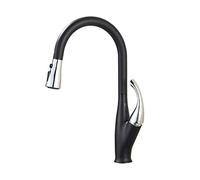YCVAWEOD Rubinetti rubinetti da Cucina a margine di rubinetti con Una Doccia per spruzzatore a Torrente, Mixer ad Acqua Calda e Fredda a Discesa (Colore: Nero e Cromo) LWX