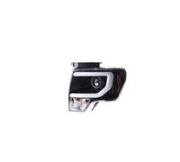 YDCDFVBVGM LED Fendinebbia Lampada Corsa Diurna per Ford per Raptor per F 150 per F 150 2008-2014 Faro Lontano E Vicino Integrazione Lampada Frontale A LED Accessori Gruppi Fari A LED(A)