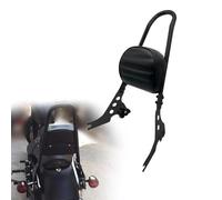 YDEMST Per H&Arley Iron 883 XL883N 2009-2022 2010 2011 2012 2013 2014 2015 2016 2017 2018 2019 2020 2021 Motocicletta Schienale Passeggero Sissy Bar Staccabile