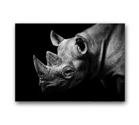 YDGG Quadro su Tela di Grandi Dimensioni Dipinto su Tela in Bianco e Nero Poster Animali Selvatici Stampa Immagini per pareti per soggiorno-60x90cmx1 Pezzi Senza Cornice