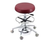YDHSIKK sgabelli Sedia da dentista girevole a 360° con altezza regolabile e supporto for la schiena, multicolore, diverse misure(B2,A13)