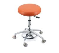 YDHSIKK sgabelli Sedia da dentista girevole a 360° con altezza regolabile e supporto for la schiena, multicolore, diverse misure(B1,A10)